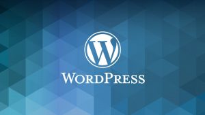 Plugin wordpress là gì?