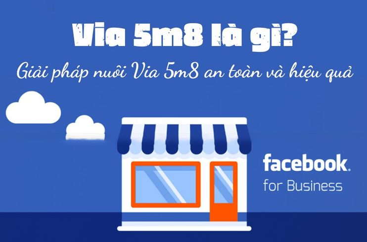 Cách nuôi via 5m8 hiệu quả.