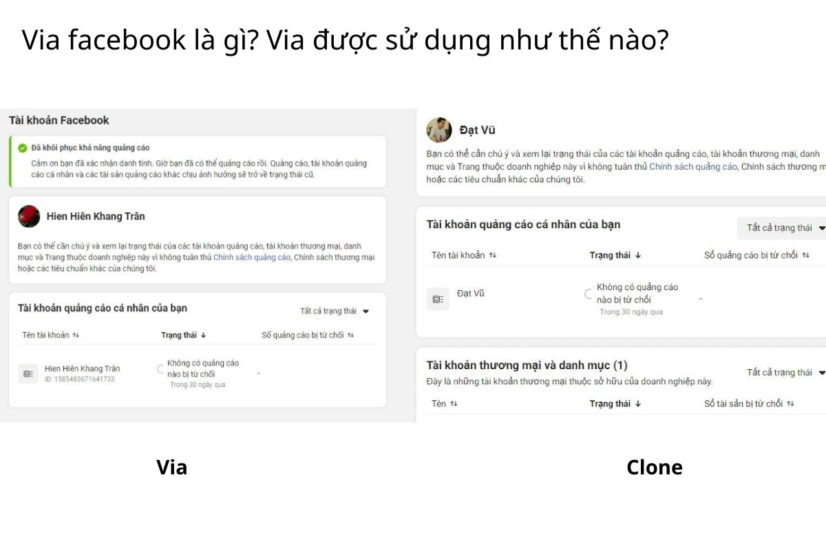 Via Facebook là gì?